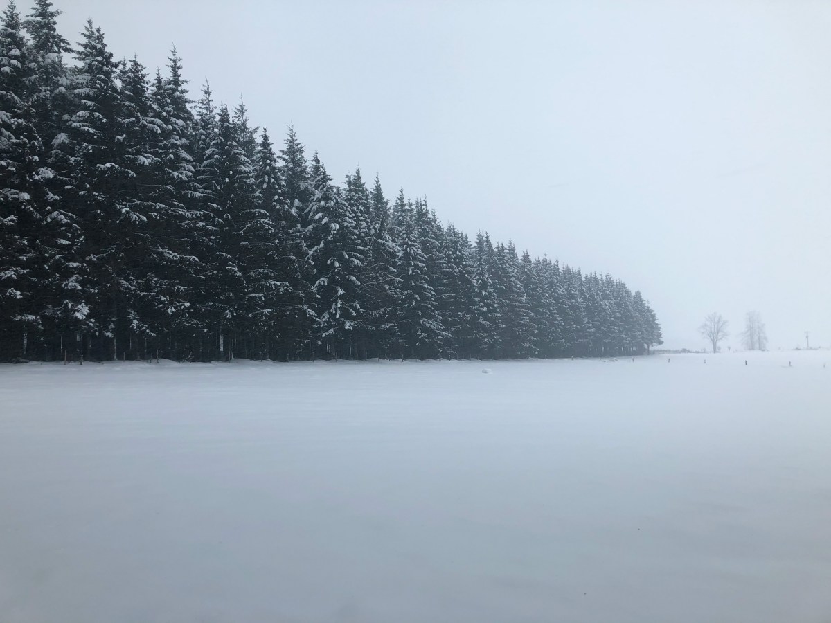 Chasing snow in&nbsp;Belgium